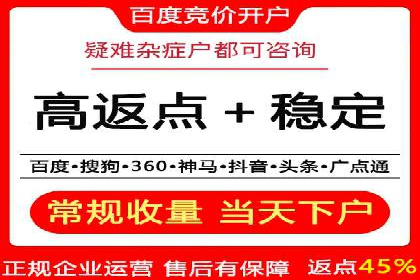 SEM竞价广告的智能优化：成功案例解读